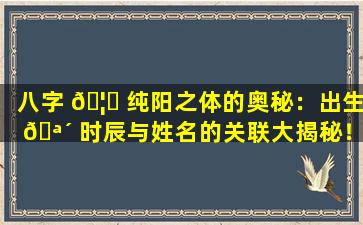 八字 🦋 纯阳之体的奥秘：出生 🪴 时辰与姓名的关联大揭秘！